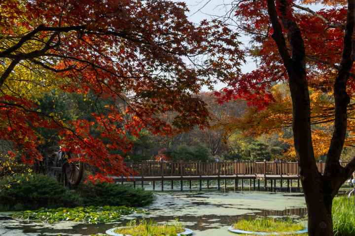경상남도 수목원