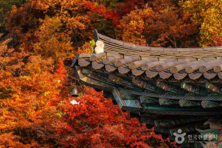 남양주 수종사
