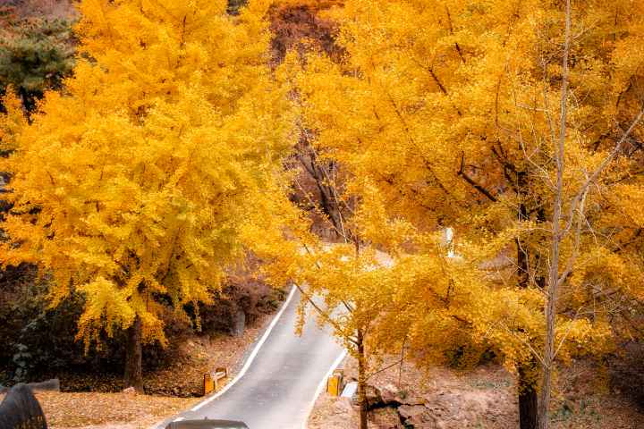 Sejong Biamsa Temple
