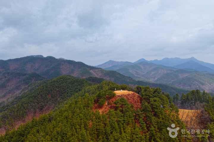 Muju Hyangrosan Natural Recreation Forest
