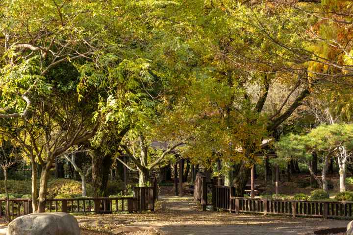 경상남도 수목원