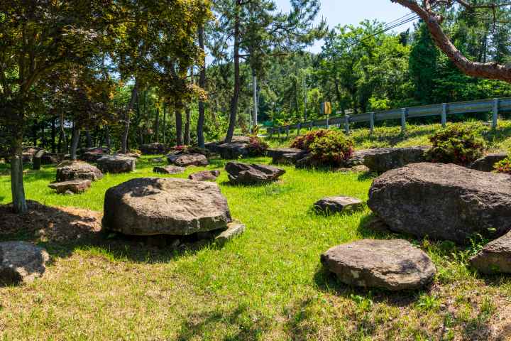 완도 고금도 지석묘군