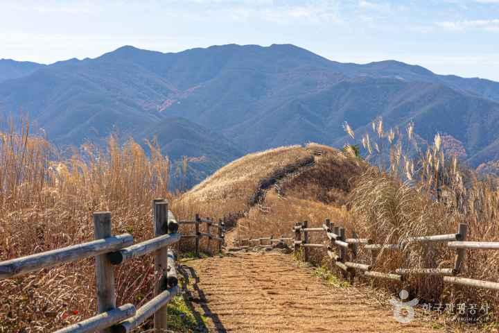 민둥산