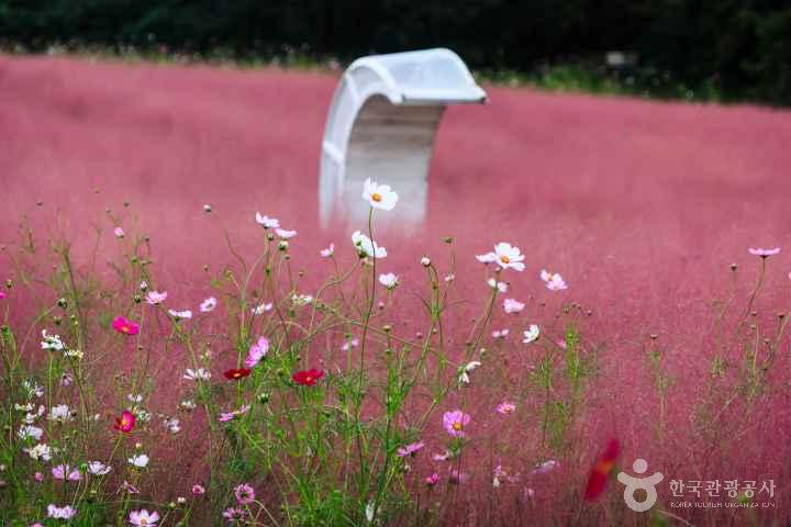 Gochang Blue Farm