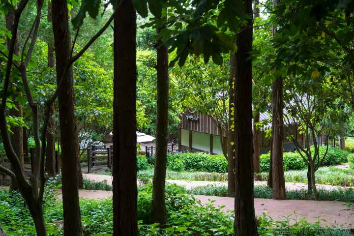 정남진 편백숲 우드랜드