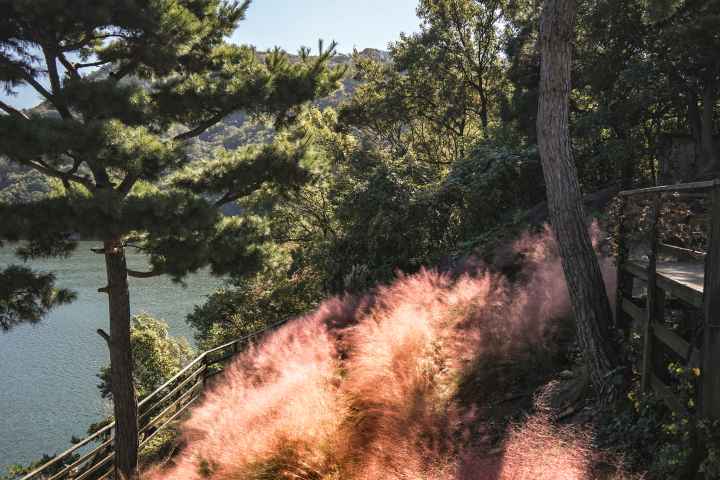 수생식물학습원