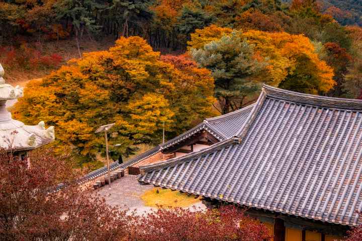 Sejong Biamsa Temple