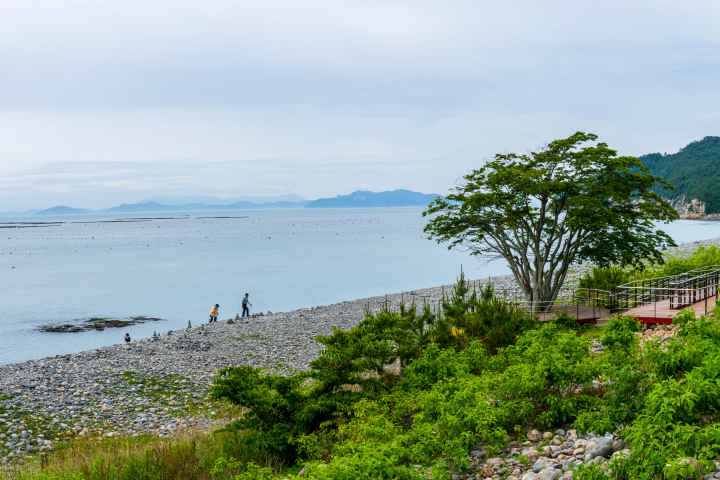 완도 정도리 구계등