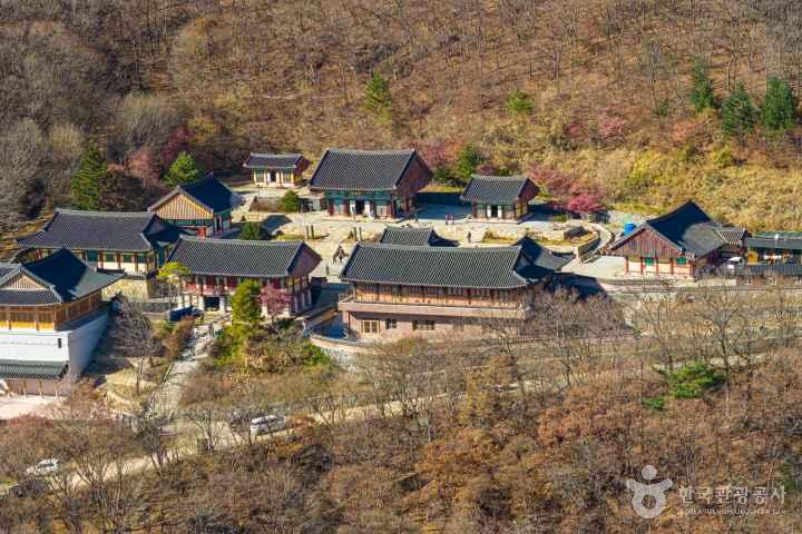 무주 안국사