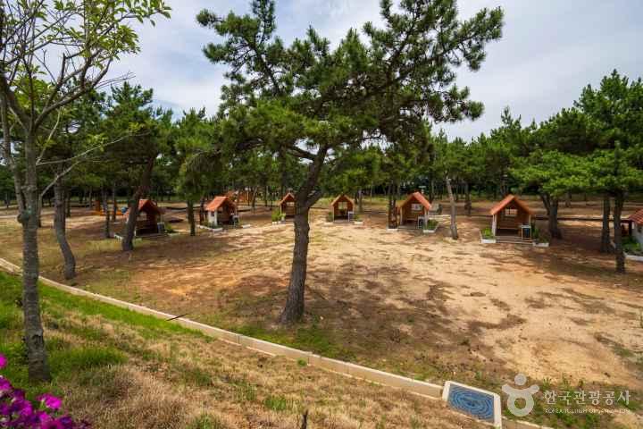 Wando Marine Healing Center
