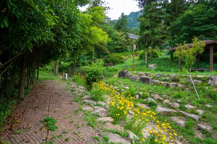 정남진 편백숲 우드랜드