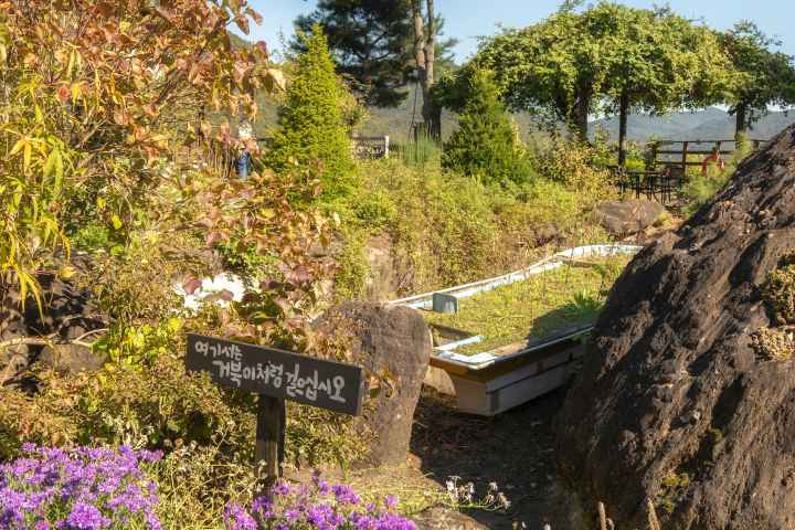 수생식물학습원