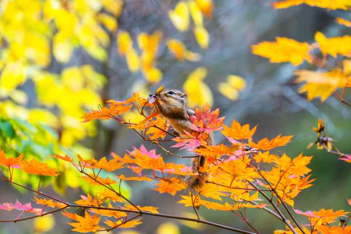 Seoraksan National Park