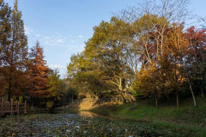 경상남도 수목원