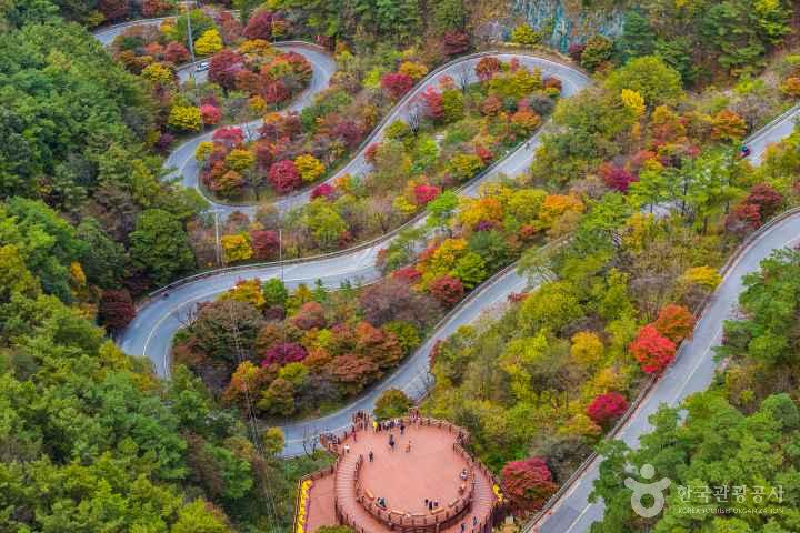 단양 보발재