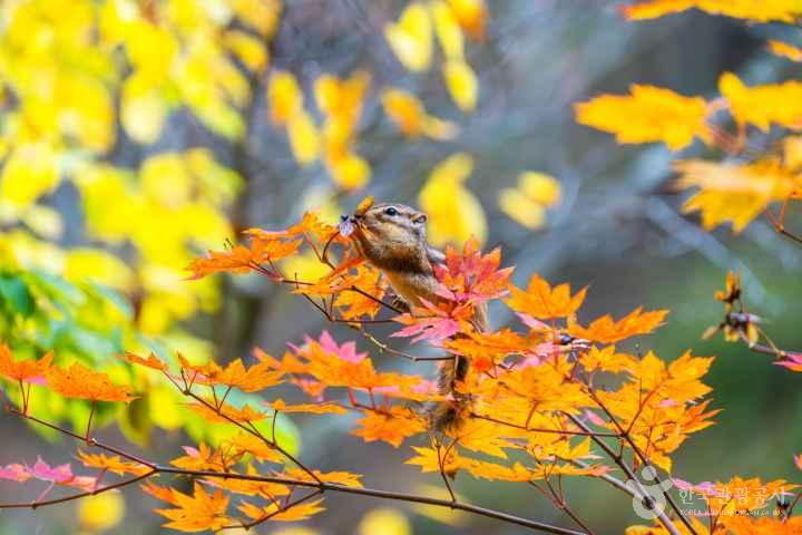 설악산국립공원