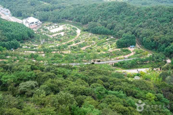 Hwagae Garden