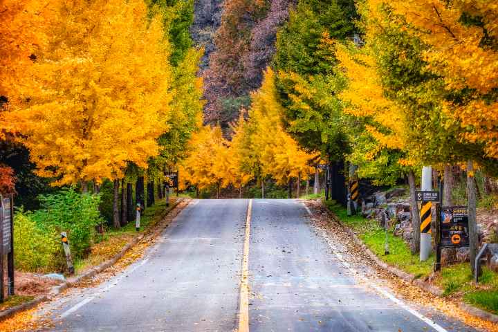 Sejong Biamsa Temple