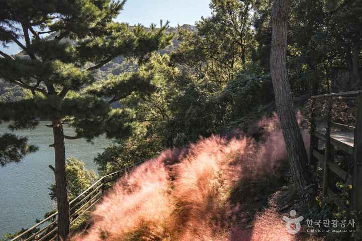 수생식물학습원