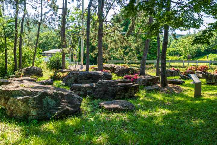 완도 고금도 지석묘군