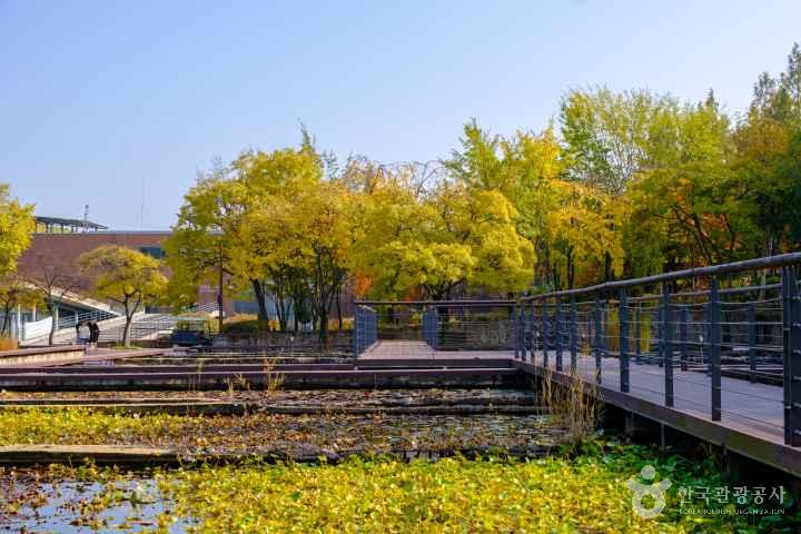 Seonyudo Park