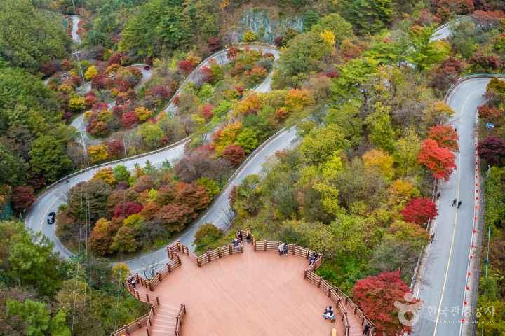 단양 보발재