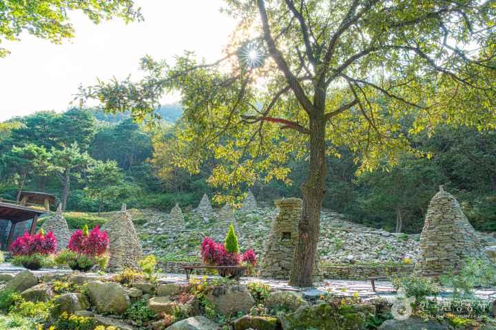 Seongmodo Island Arboretum