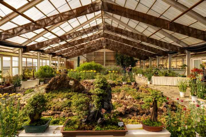 수생식물학습원