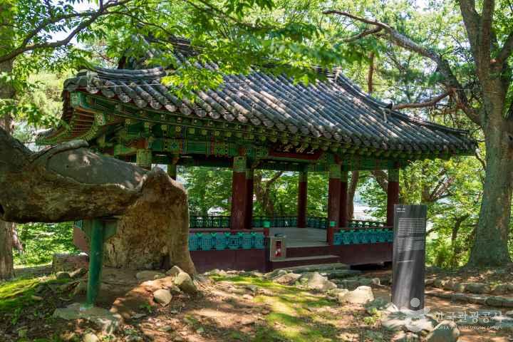 아산 맹씨 행단