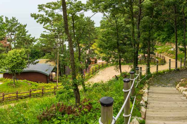 약산해안치유의 숲