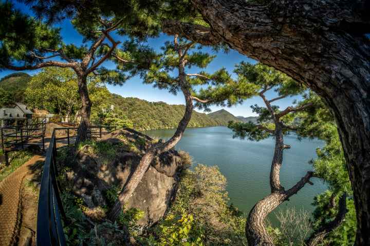 수생식물학습원