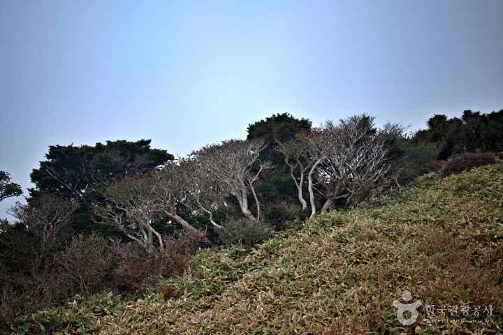 한라산