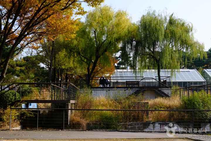 Seonyudo Park