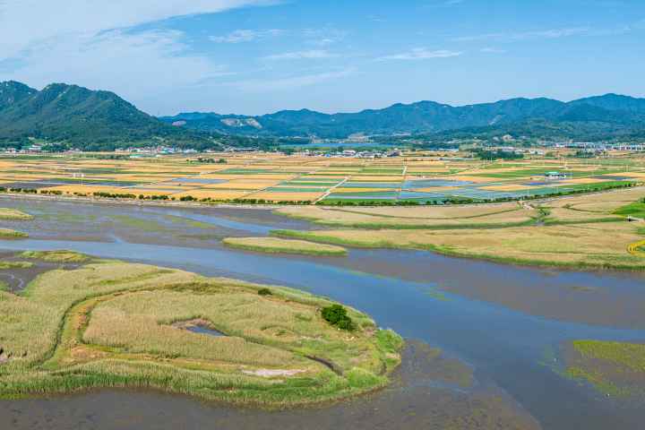 강진만생태공원