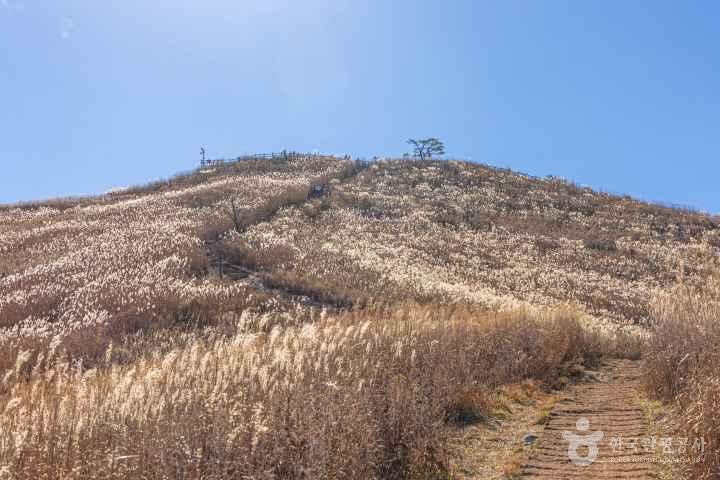 민둥산